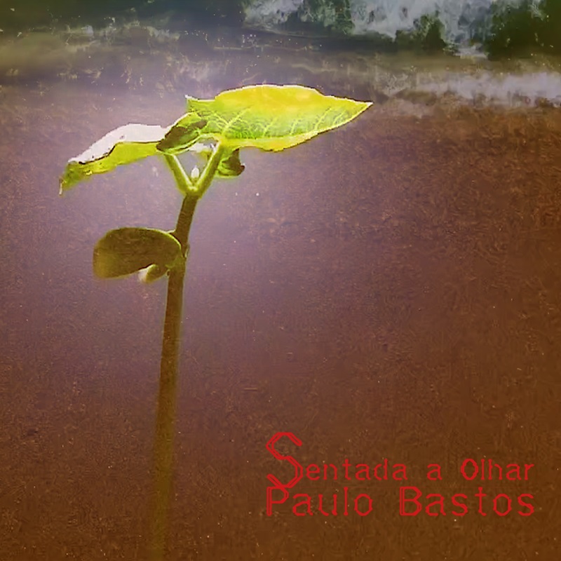 Musica Paulo Bastos